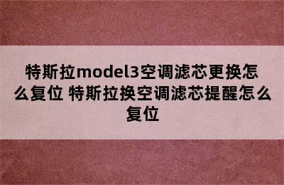 特斯拉model3空调滤芯更换怎么复位 特斯拉换空调滤芯提醒怎么复位